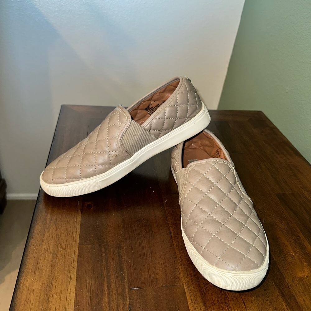 Steve Madden Women’s Ecentrcq Sneaker